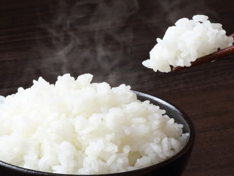 심혈을 기울여 재배한 쌀