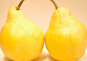 High-quality Western pears grown in Niigata Prefecture: Le Lectier