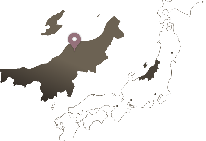 Niigata is 2 hours from Tokyo